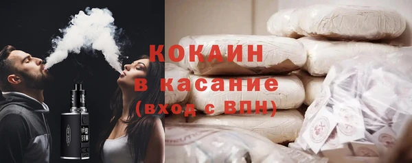 гидра Абаза