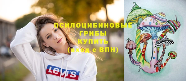 гидра Абаза