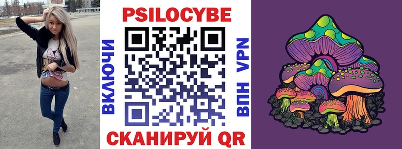 blacksprut зеркало  Сухиничи  Псилоцибиновые грибы ЛСД 